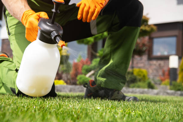 Best Best Pest Control Companies  in North Tustin, CA
