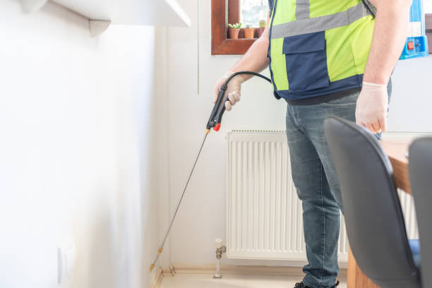Best Flea Control Services  in North Tustin, CA