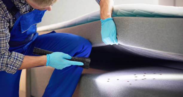 Best Residential Pest Control  in North Tustin, CA