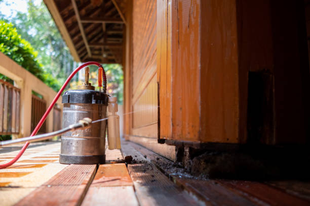 Best Affordable Pest Control Services  in North Tustin, CA