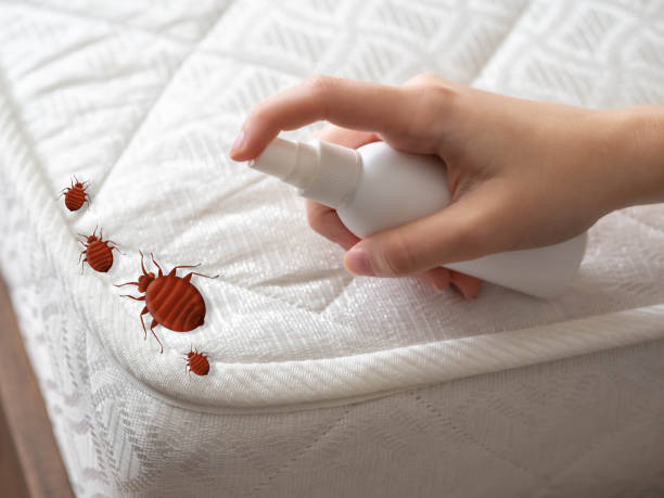 Best Pest Removal Services  in North Tustin, CA