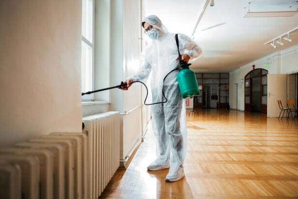 Best Spider Control Near Me  in North Tustin, CA