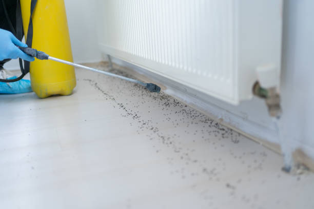 Wildlife Control Services in North Tustin, CA
