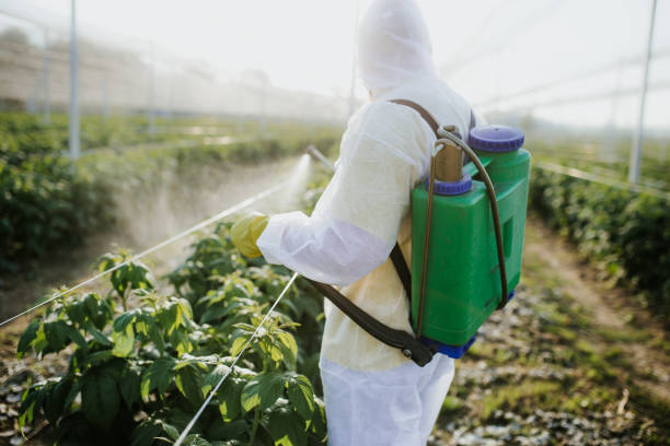 Best Exterminator Services  in North Tustin, CA